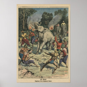Catching a white elephant in Siam Poster