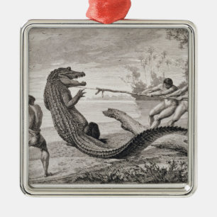 Catching an alligator with lasso metal tree decoration