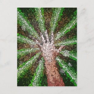 Catching Light Postcard