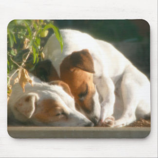 Catching zzzz's mouse mat