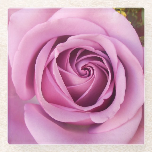 Catejne Glass Coaster (Front)