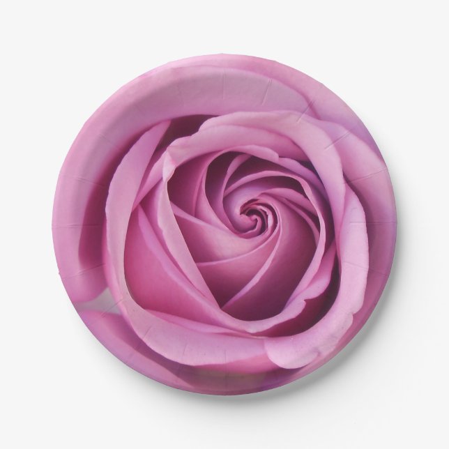 Catejne Paper Plate (Front)