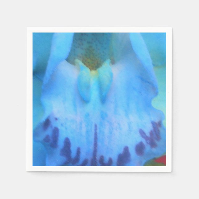 Catelijne Napkin (Front)