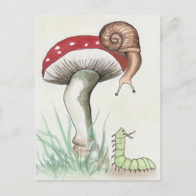 Caterpillar and Snail Postcard (Front)