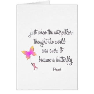 Caterpillar Became a Butterfly