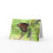 Caterpillar / Butterfly Quote Greeting Card