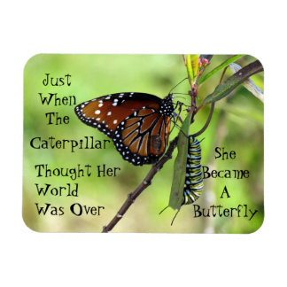 Caterpillar / Butterfly Quote Magnet