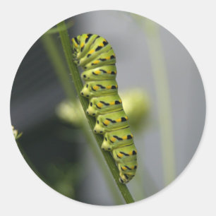 Caterpillar Classic Round Sticker