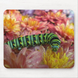 Caterpillar Close up Mousepad