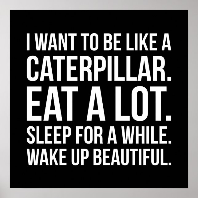 Caterpillar, Eat, Sleep, Beautiful - Funny Novelty Poster (Front)