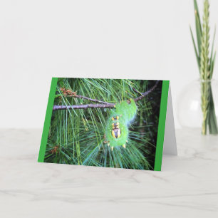 caterpillar greeting card