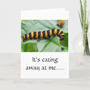 Caterpillar - I'm sorry card