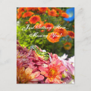 Caterpillar Missing You postcard