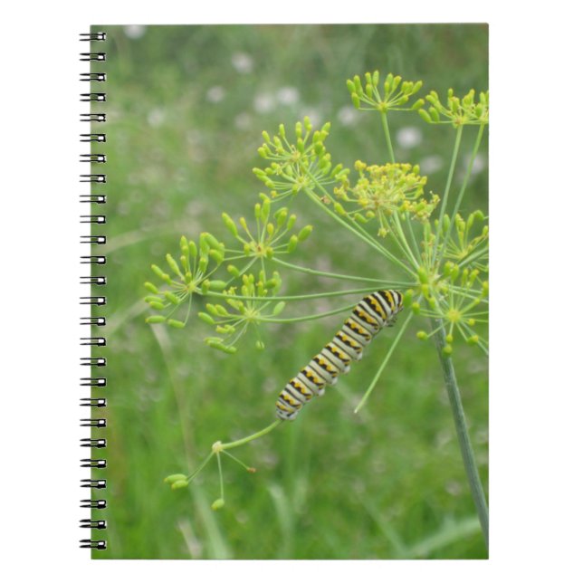 Caterpillar Notebook (Front)