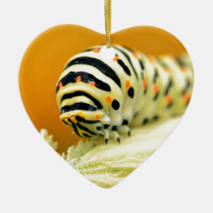 Caterpillar of swallowtail ceramic tree decoration
