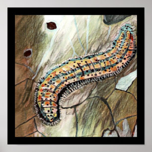 Caterpillar 🐛 Of The Eastern White Butterfly 🦋 Poster