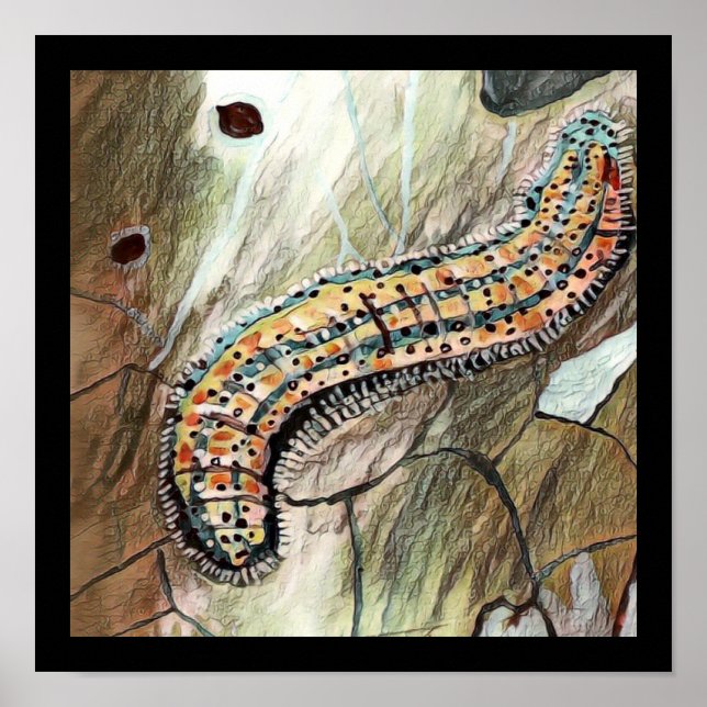 Caterpillar 🐛 Of The Eastern White Butterfly 🦋  Poster (Front)