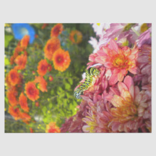 Caterpillar on Asters Tissue Paper