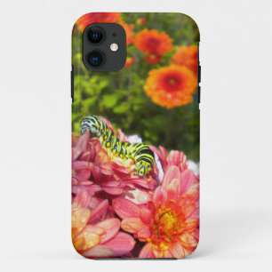 Caterpillar Sunning iPhone 5 case