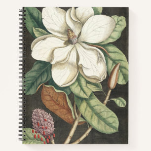 Catesby Vintage Magnolia Botanical Illustration Notebook