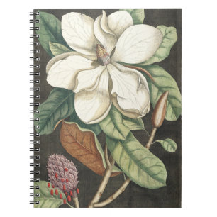 Catesby Vintage Magnolia Botanical Illustration Notebook