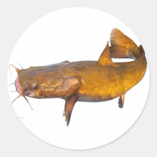 Catfish Fishing Classic Round Sticker