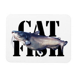 Catfish Magnet