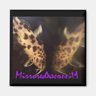 Catfish (mirrored) magnet