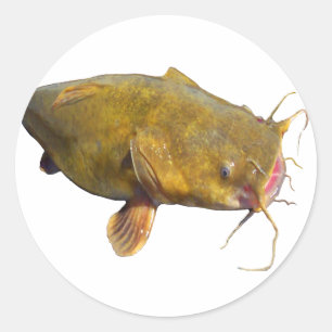 Catfishing Fishing Classic Round Sticker