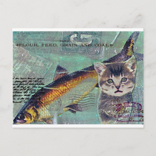 Catfishing Postcard (Front)