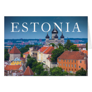 Cathedral and Cityscape Estonia
