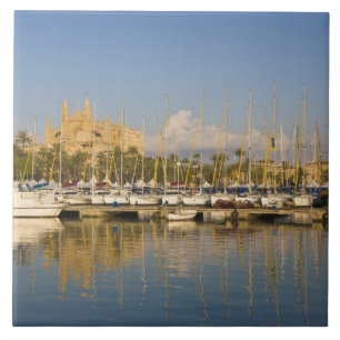 Cathedral and marina, Palma, Mallorca, Spain Tile