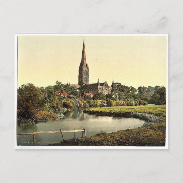Cathedral, from the river, Salisbury, England rare Postcard (Front)