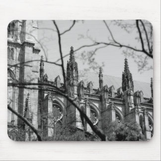Cathedral in Spring Mouse Mat