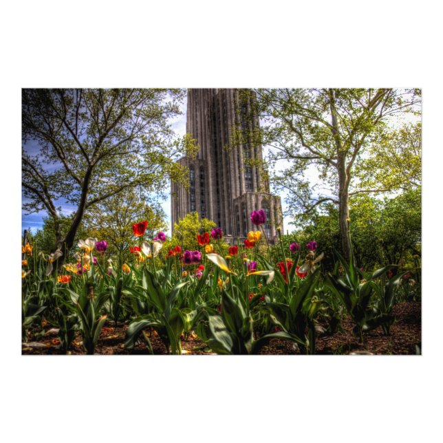 Cathedral of Learning, University of Pittsburgh Photo Print (Front)