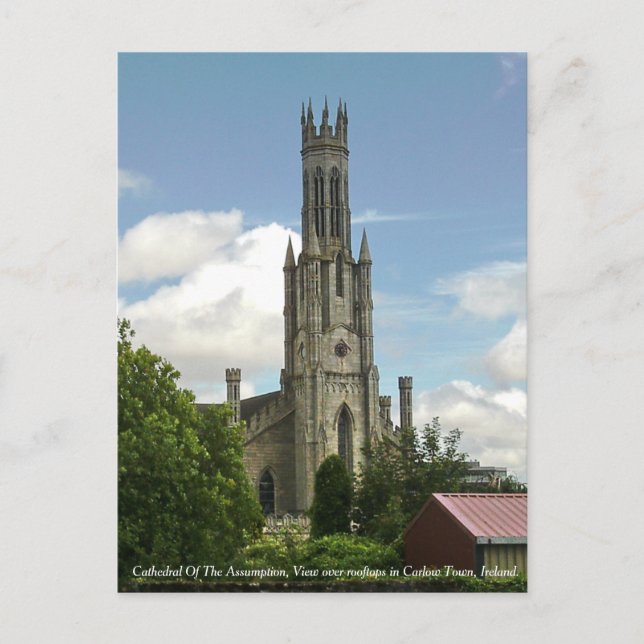 Cathedral Of The Assumption, Carlow Town Postcard (Front)
