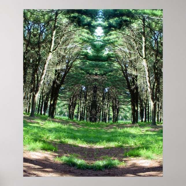 Cathedral of Trees Ken Gauge Photo Surrealism Art Poster (Front)