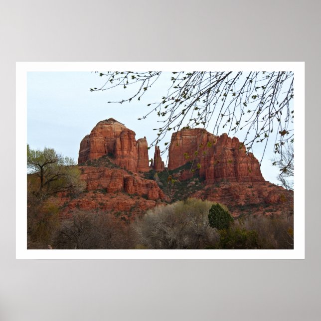 Cathedral Rock Poster (Front)