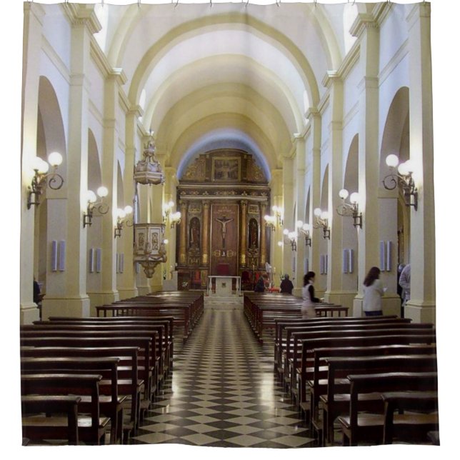 CATHEDRAL SHOWER CURTAIN (Front)
