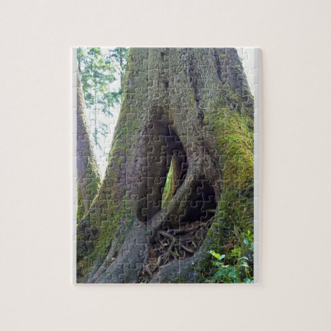 Cathedral Tree, Astoria, Oregon Jigsaw Puzzle (Vertical)