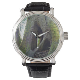 Cathedral Tree, Astoria, Oregon Watch