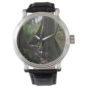 Cathedral Tree, Astoria, Oregon Watch