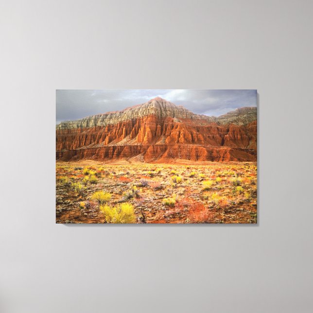 Cathedral Valley Canvas Print (Front)