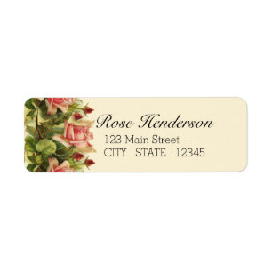 Catherine Klein Apricot Pink Rose Return Address