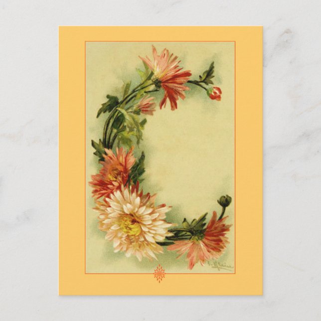Catherine Klein Flower Alphabet C Chrysanthemum Postcard (Front)