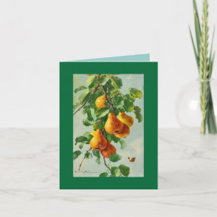 Catherine Klein pears. NOTE CARD GRN