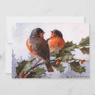 Catherine Klein: Robins on Holly