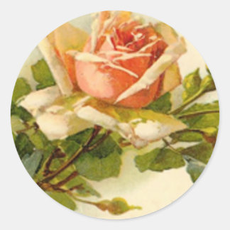 Catherine Klein's Vintage Peach Rose Classic Round Sticker