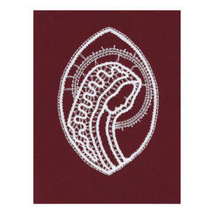 Catholic Blessed Virgin Mary, lace   Photo Print