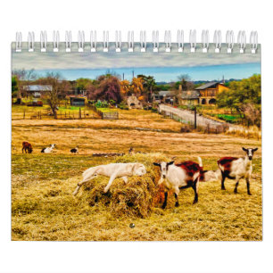 Cathy P. Jones 2020 Calendar